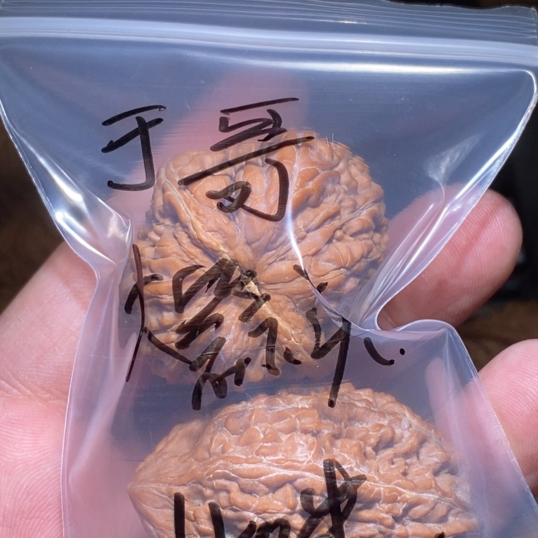 文玩核桃吊坠于*大蒜头