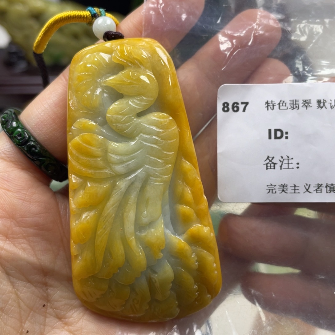翡翠未镶嵌颈饰牌子