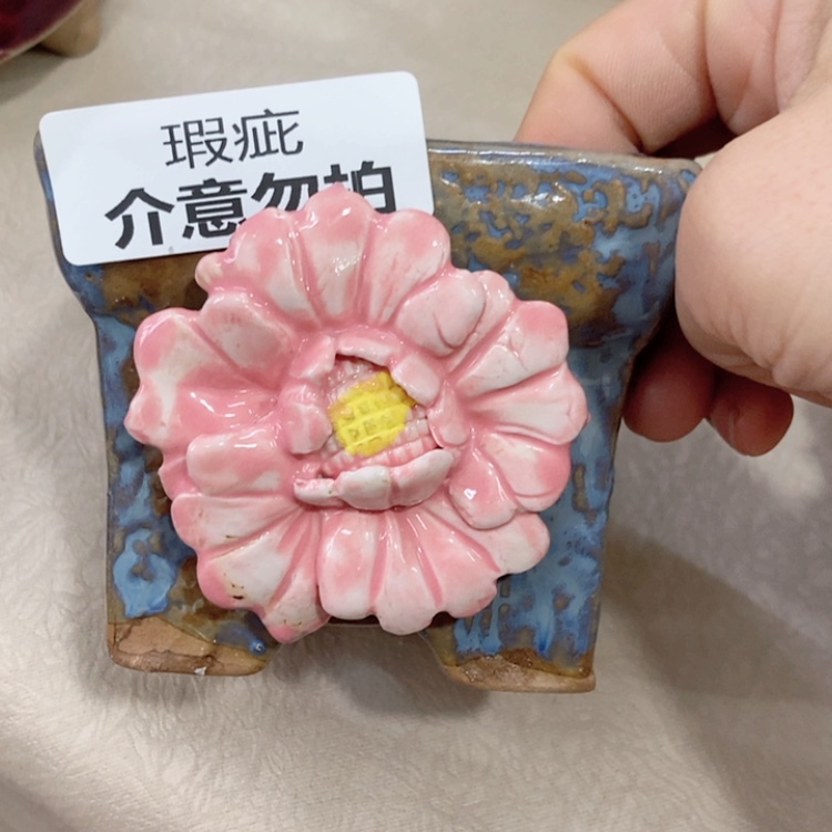 【闪购商品】红陶福利