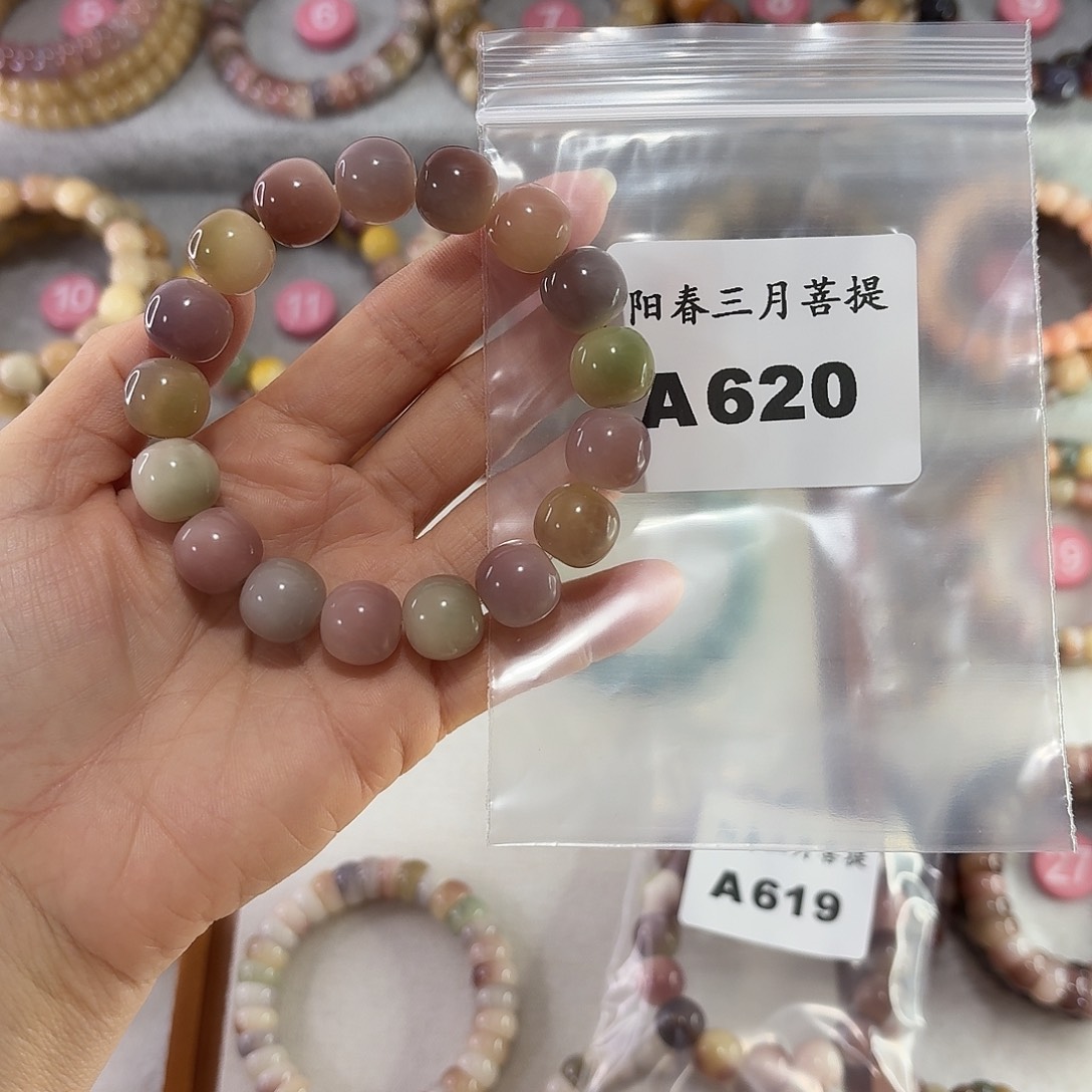 C****吊坠菩提根/象牙果