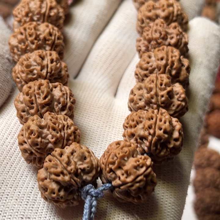 江***荳手串金刚菩提21大➕绝情梅花