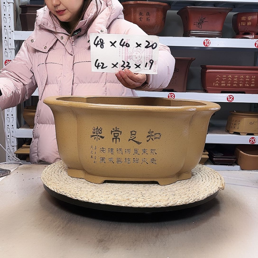 花盆紫砂紫砂花盆中