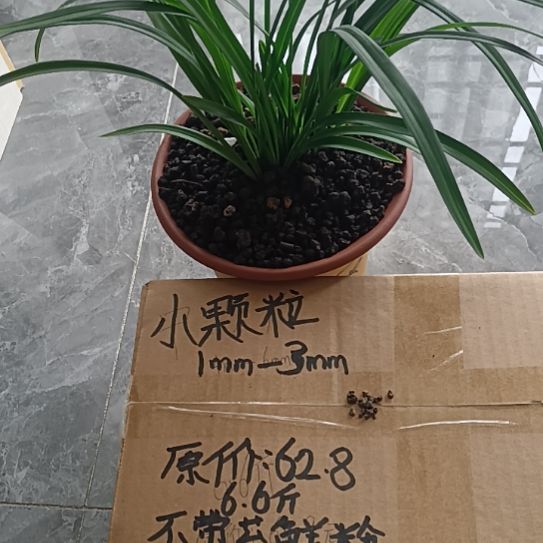 大***ヾ兰菌颗粒小颗粒6.6斤