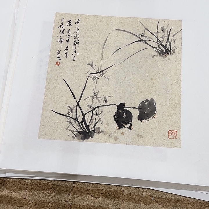 国画花鸟的翅膀是白色的羽毛