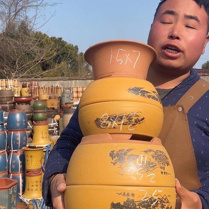 紫砂紫砂花盆盆栽