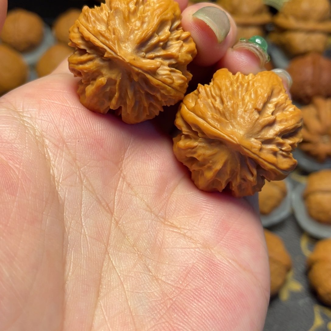 文玩核桃把件霸王龙