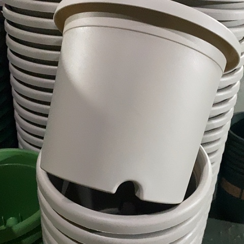 树脂四季3号灰白带托10套微瑕