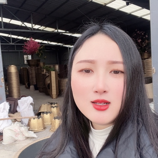 复合盆景造型很好看呢