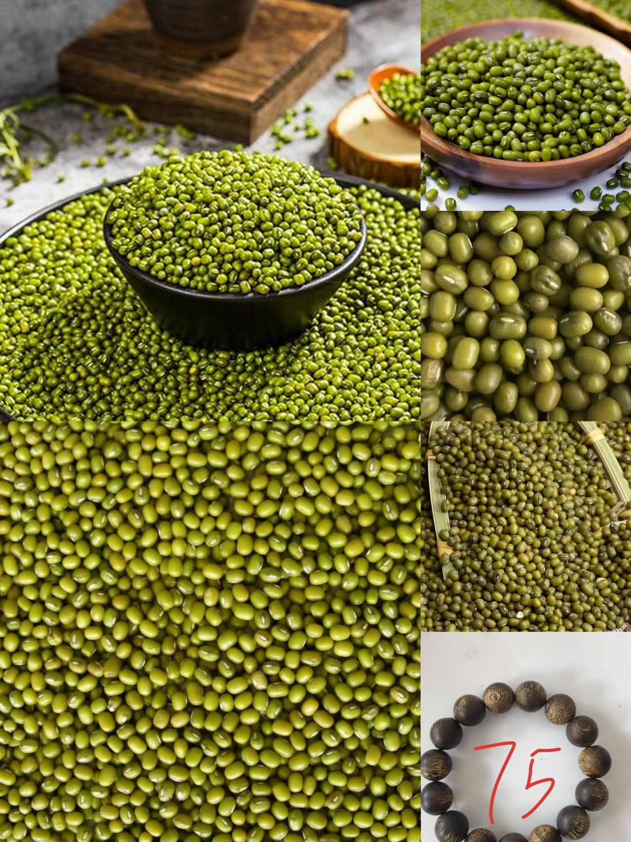 《75》龙腾专属土特产豆1.4-世0134