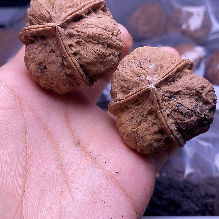 文玩核桃把件   51