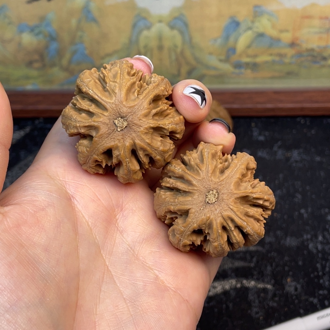 λ***7文玩核桃把件50号