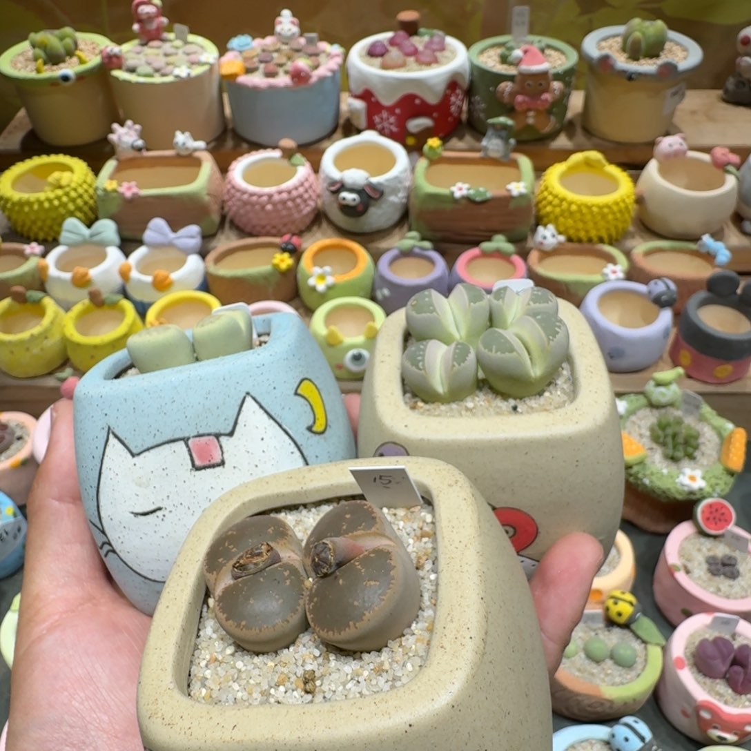 奕***艺1317花花花花花花