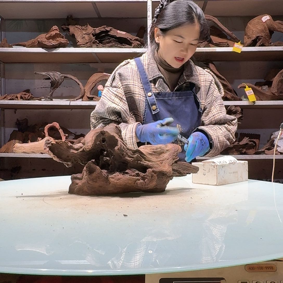 倍诸沉木不包损必褪色铁*叁6119