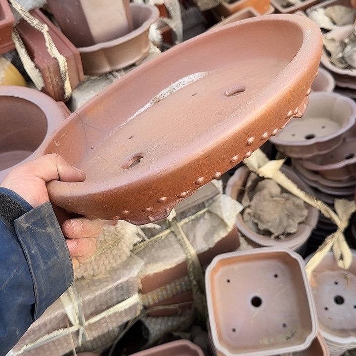 是一个不知名作家与著名导演兼电影演员们之间