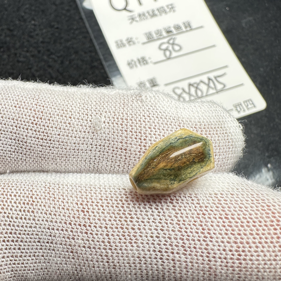 Q114天然猛犸象牙蓝皮鲨鱼背三通8*8*15mm