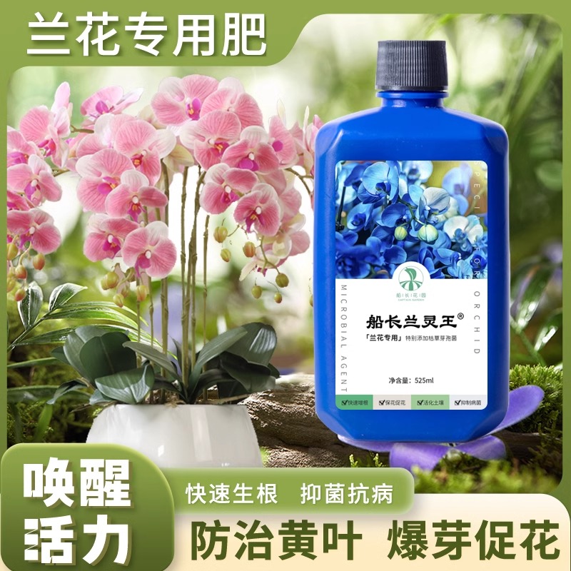兰灵王兰花专用营养液肥料蝴蝶君子杀兰菌药促花多箭兰活化剂