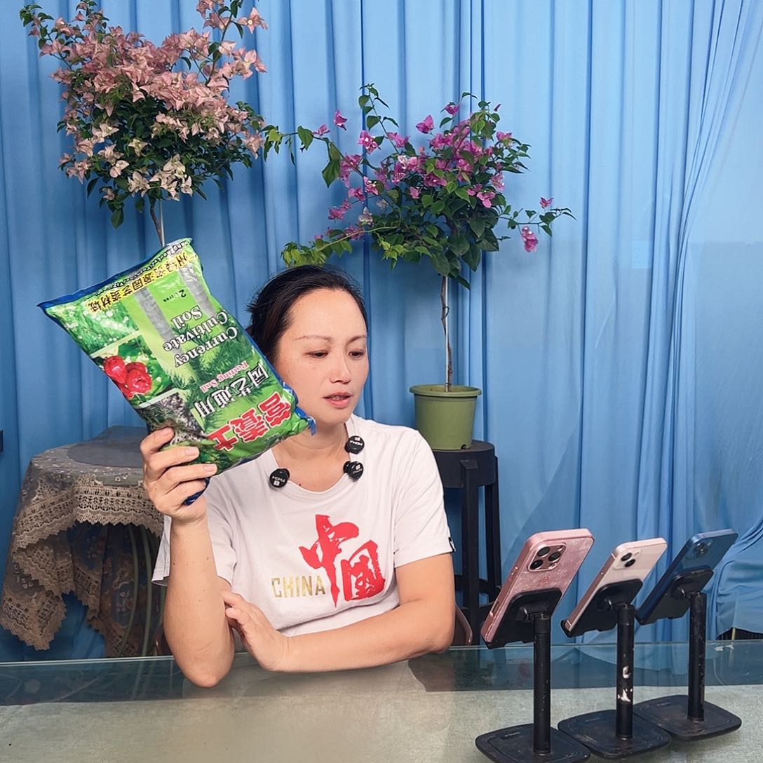 大部分开放少量花苞土一包