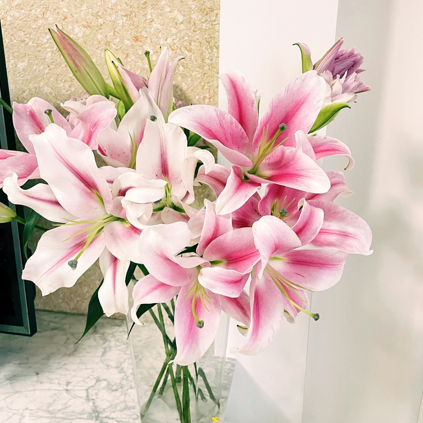 【云霄花卉】【艳粉百合】云南基地直发【任意两单顺丰包邮】