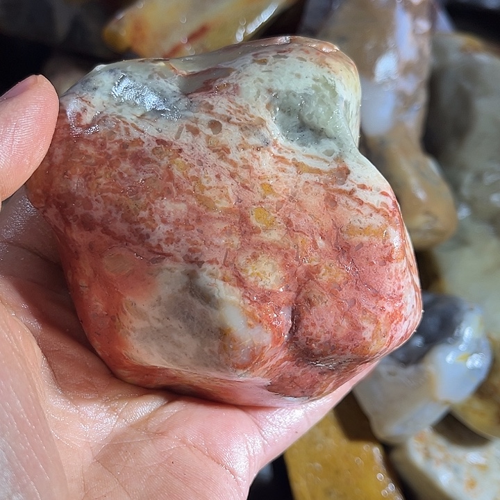 青***瓷寿山石888888888888