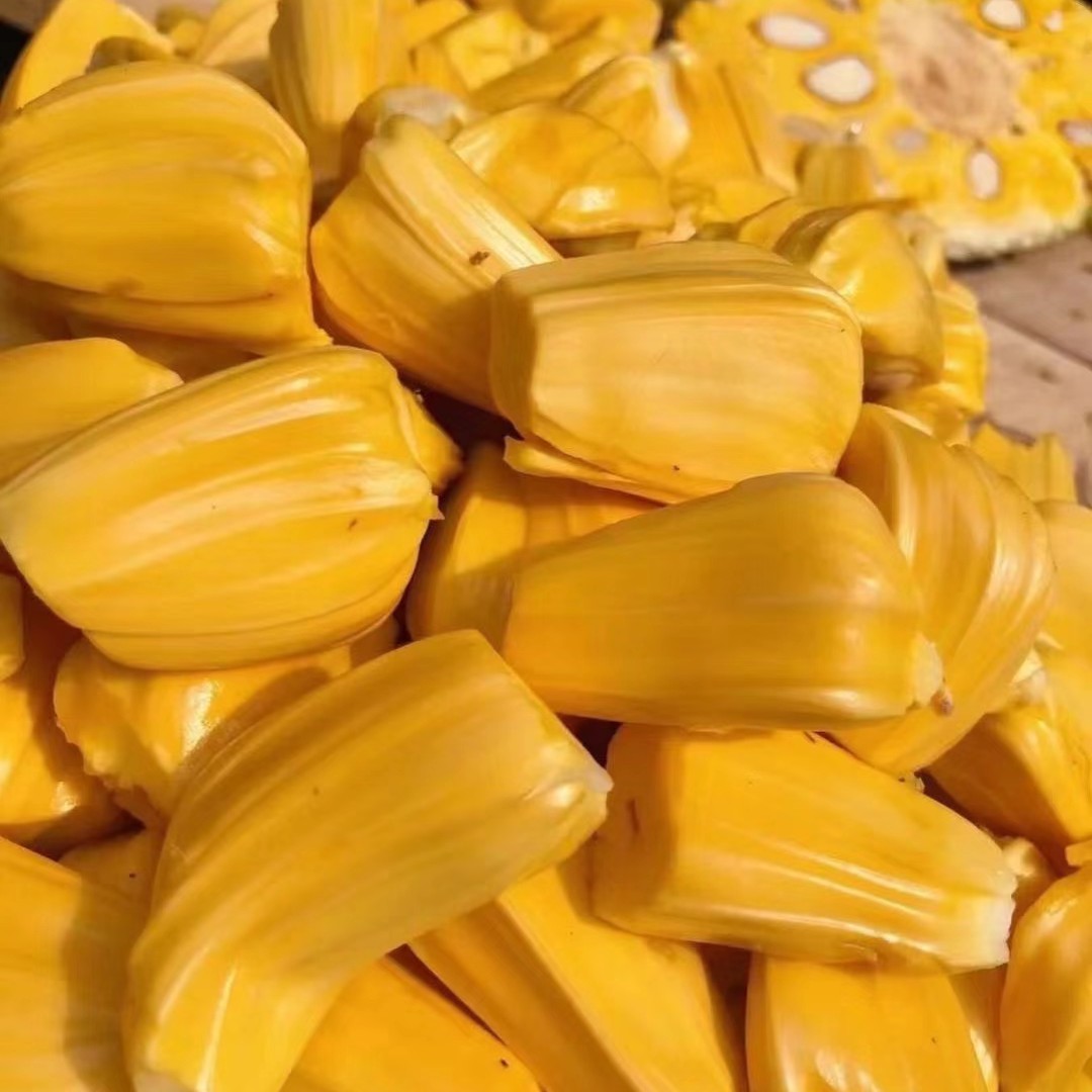 【越南红肉菠萝蜜】不去芯特级果 整颗8-12斤