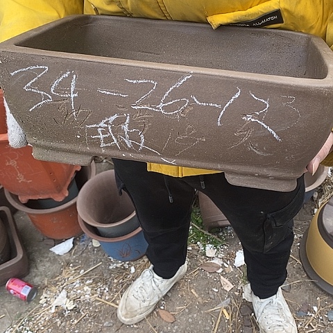 紫砂中国宜兴紫砂花，