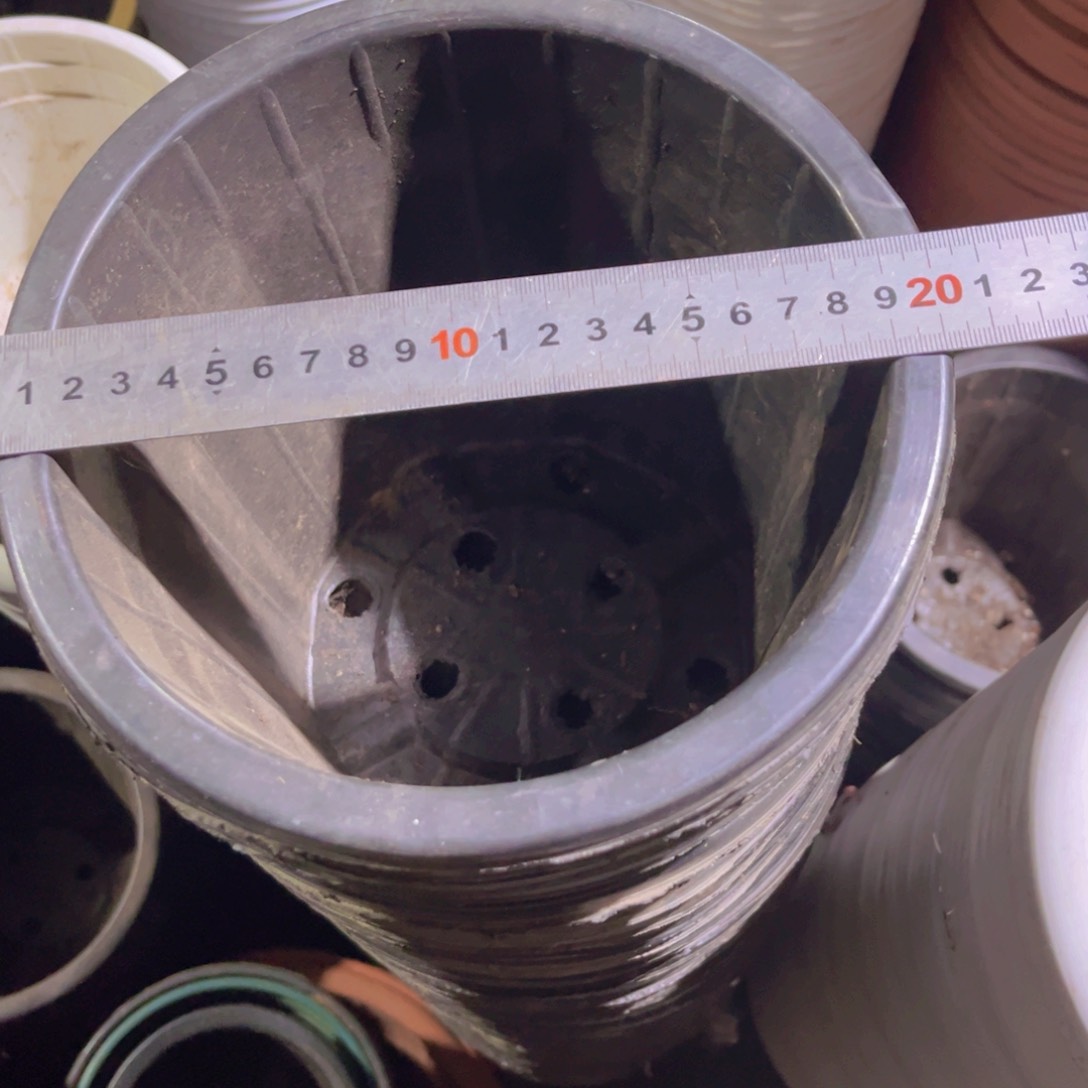 塑料旧20公分 黑砖盆 高17.5。20个