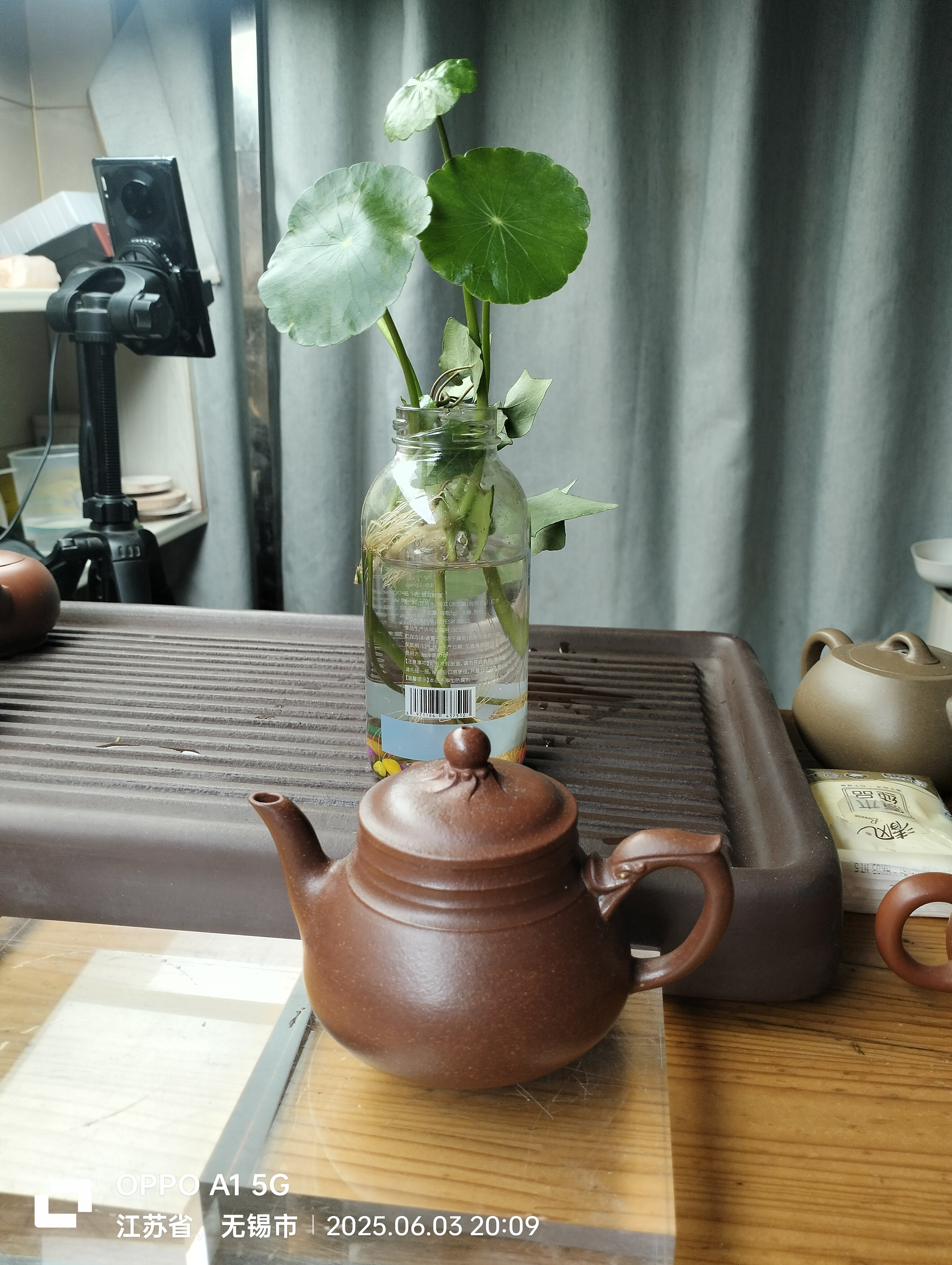 飞龙吐珠（降坡泥，容量180cc）