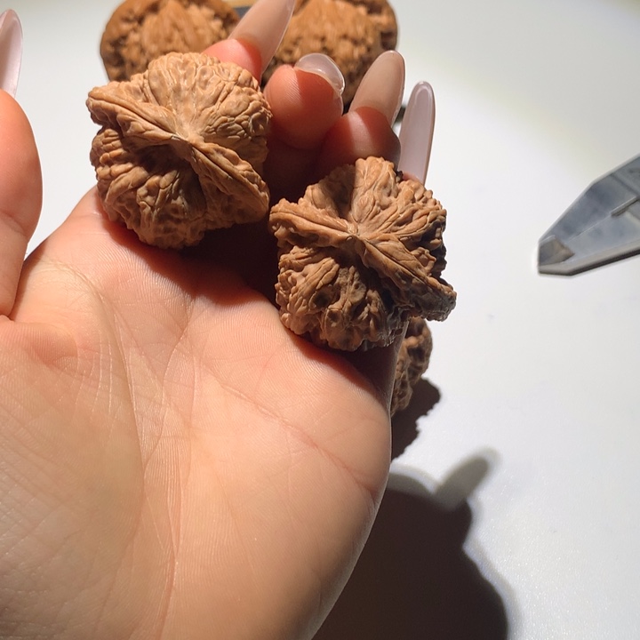把件文玩核桃白狮子