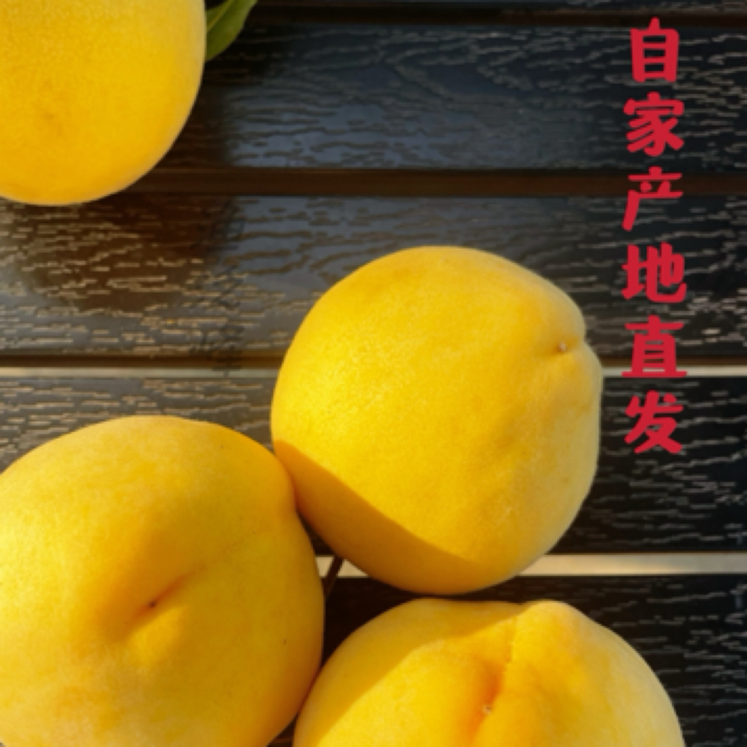 锦绣黄桃，果园直发，净重3.5斤左右