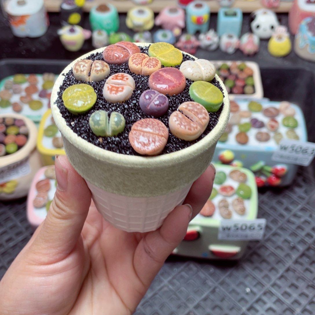 w5066 带盆土发货-零下地区拍保温箱