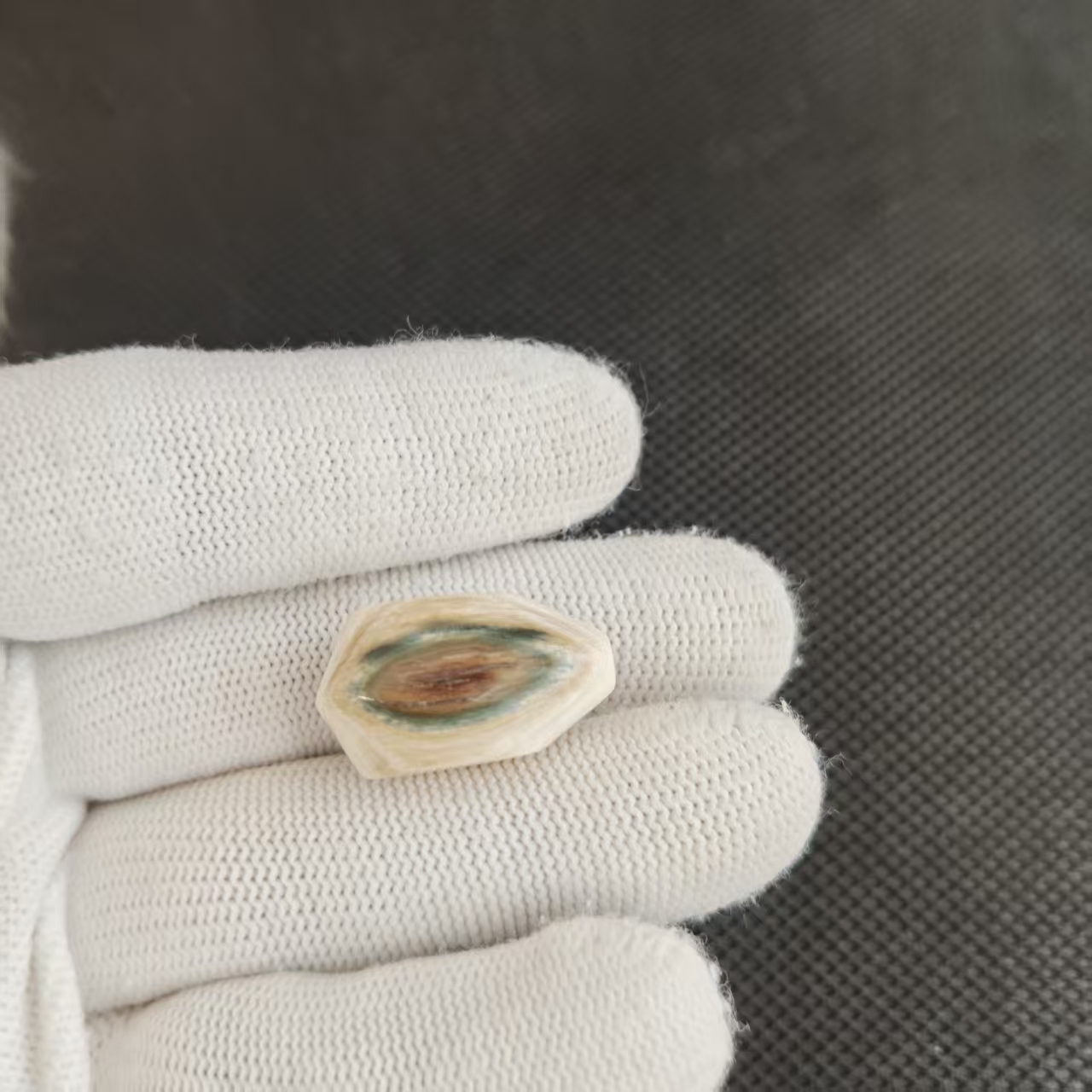 I00019-I00029 猛犸三通工艺品