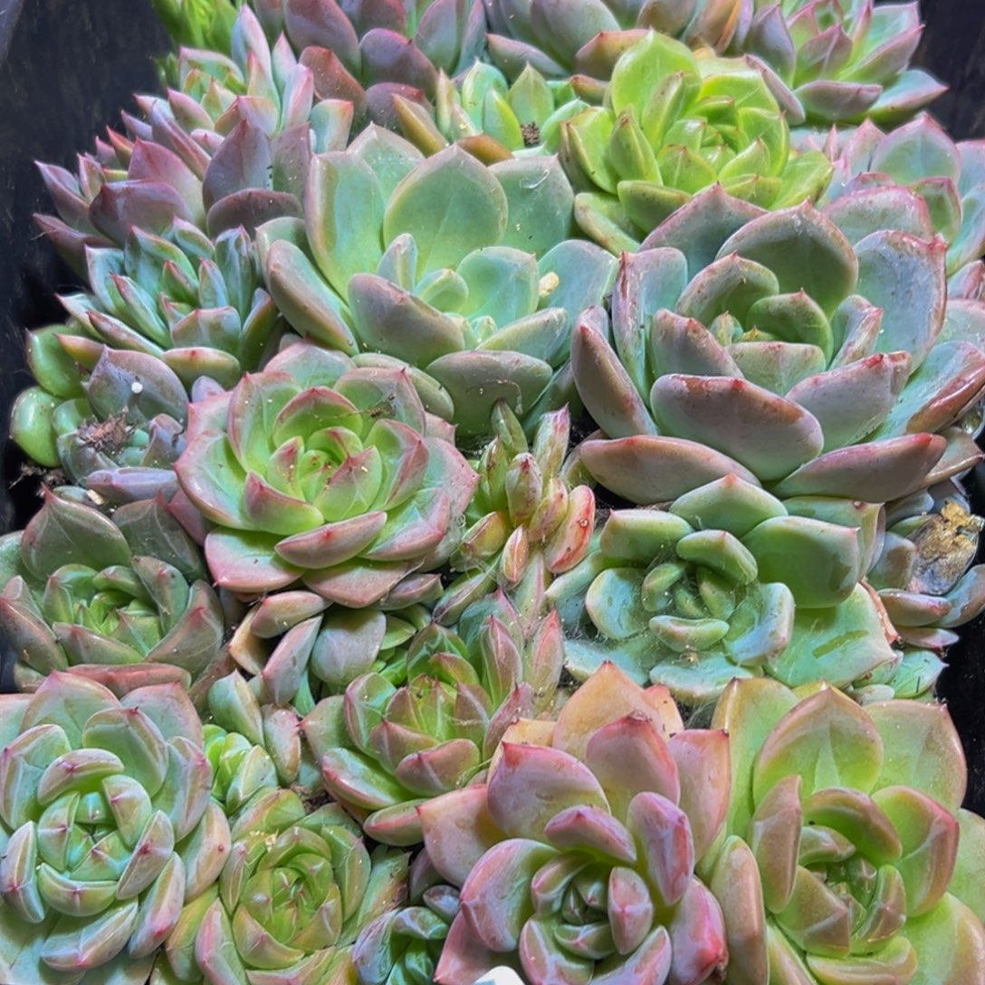 721点多就醒来的时候我就想