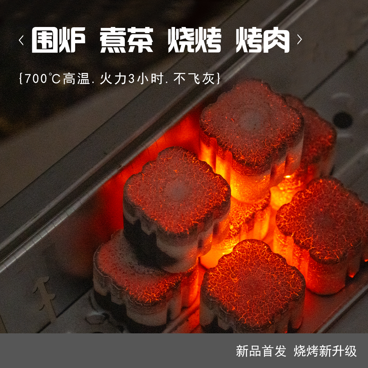 速燃果木炭火力3小时无明火室内用炭烤肉户外野餐易燃木炭高品质