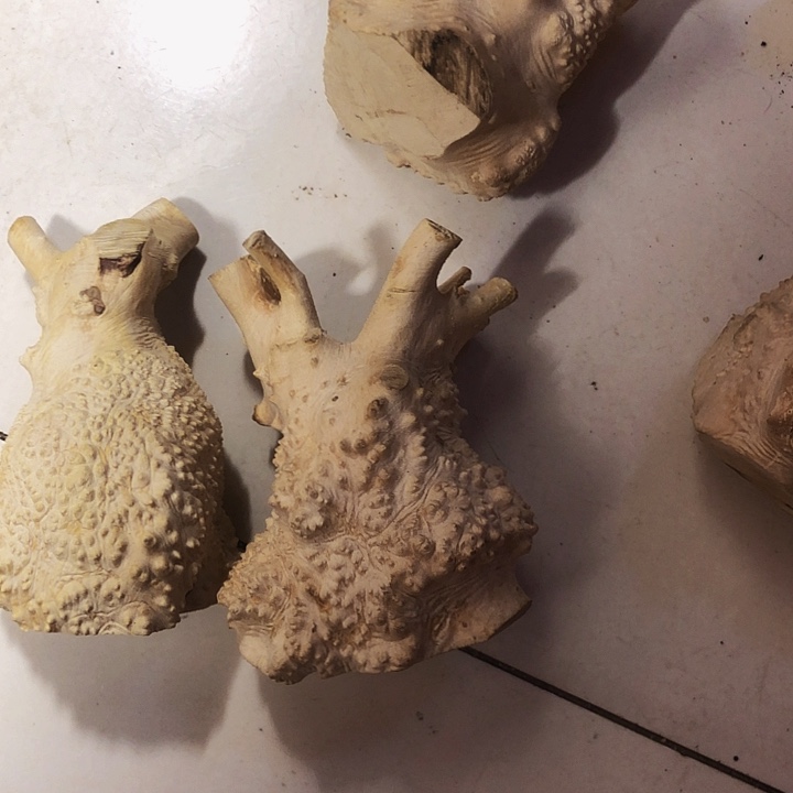 暴***爆木木料木料木料木料