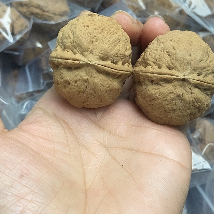 木质类云南铁核桃基地10