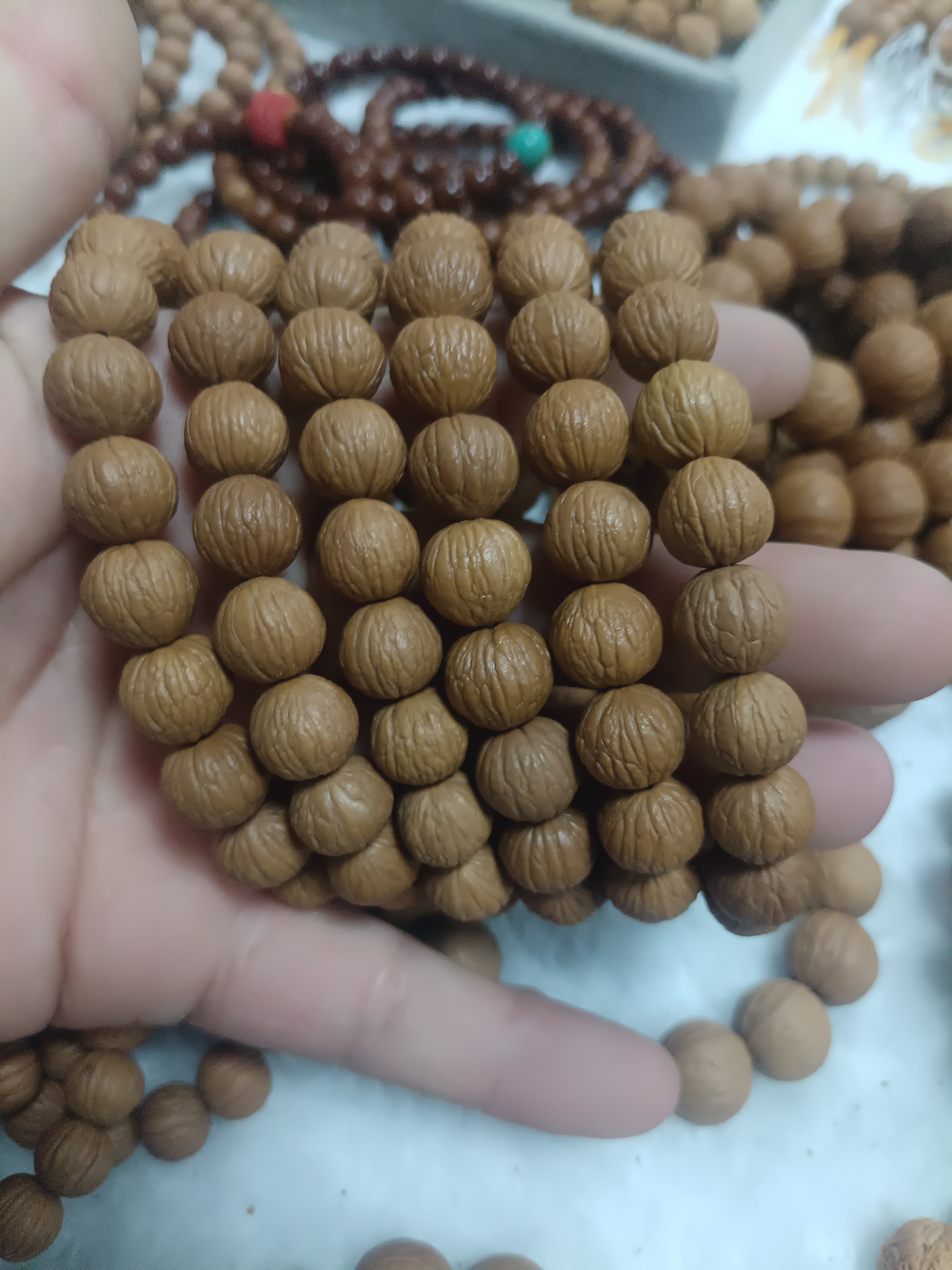 原皮凤羽猴头12+ 尺寸