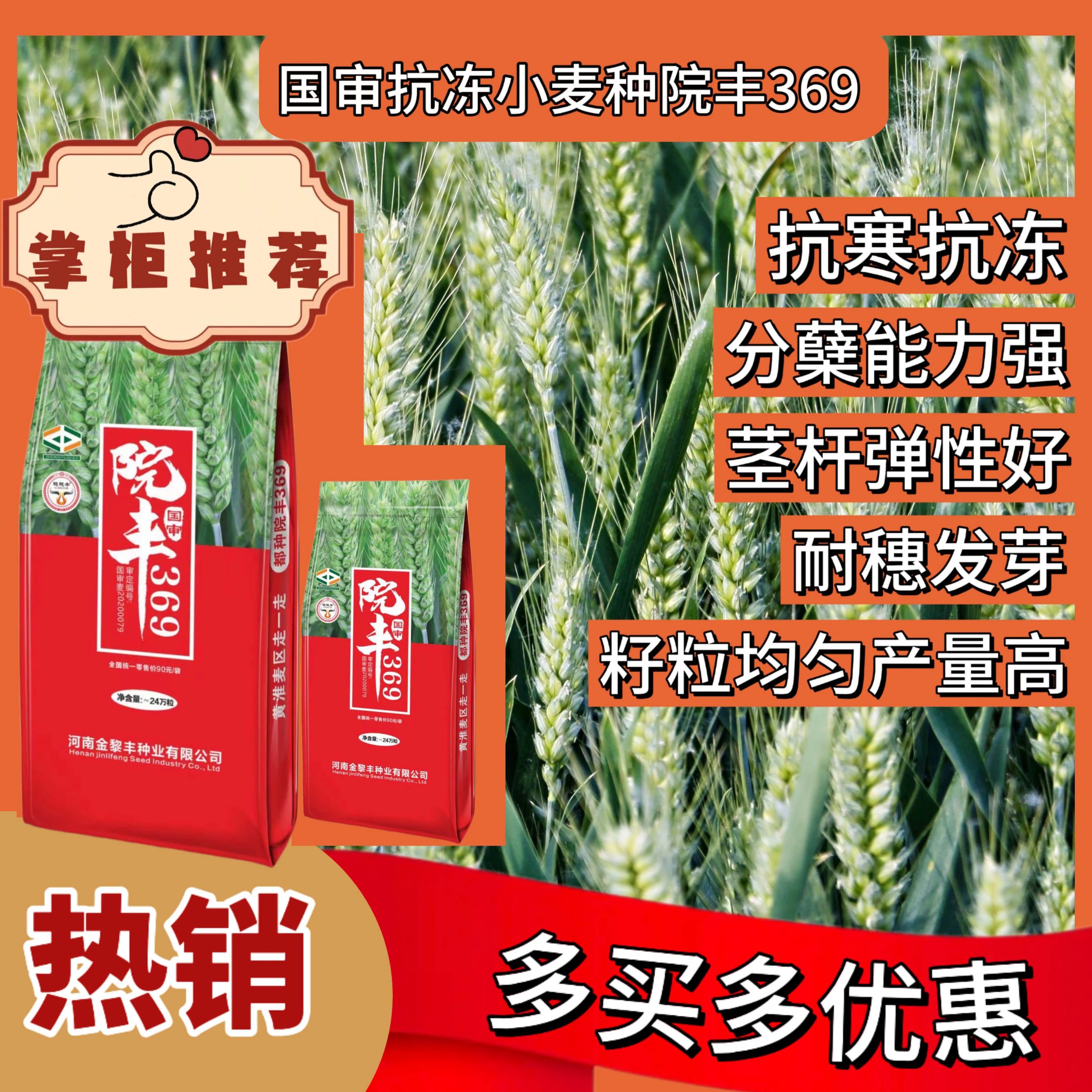 高产小麦种子 院丰369小麦种 种植两亩地，抗病抗倒抗冻，一袋24斤！