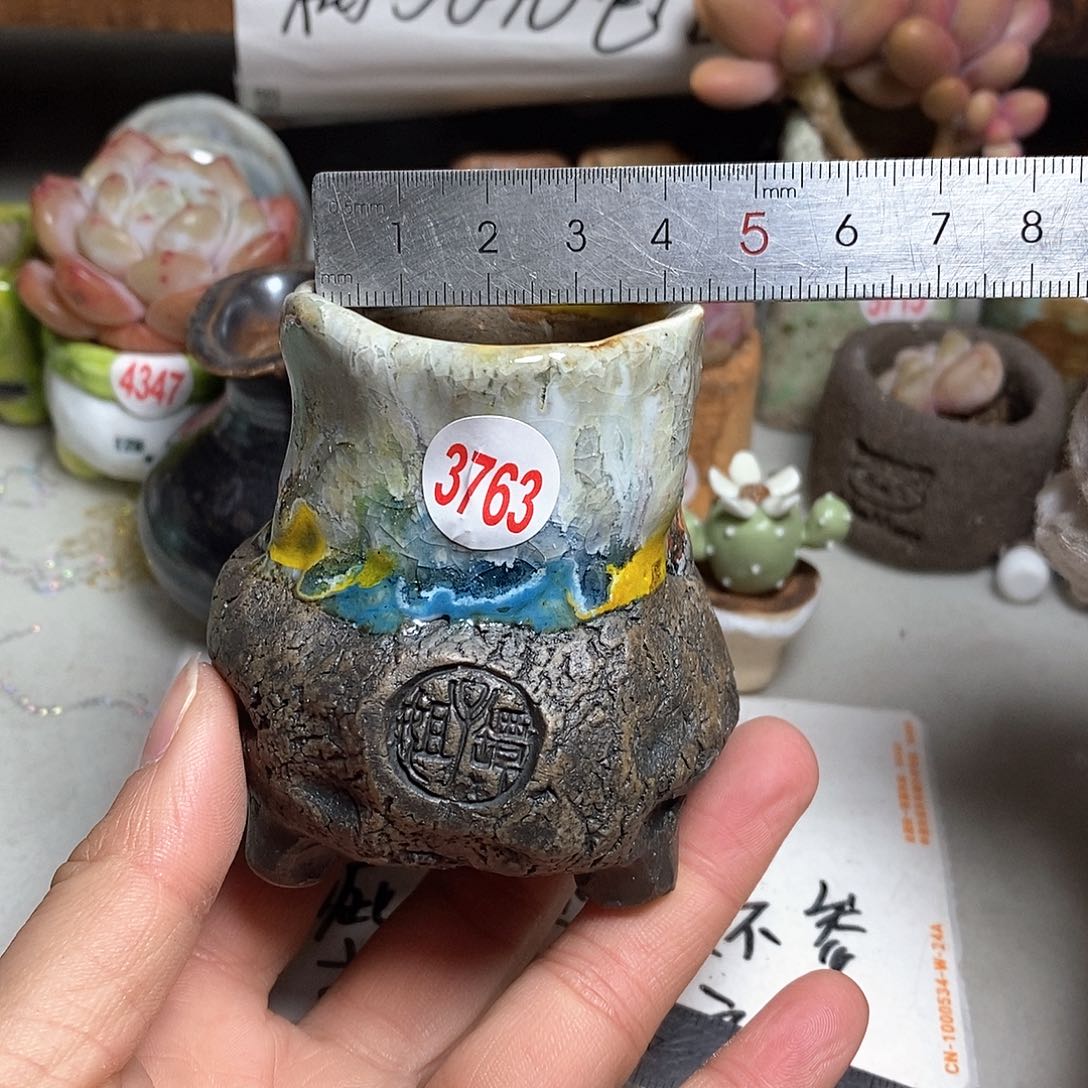 红陶拍5送一个小