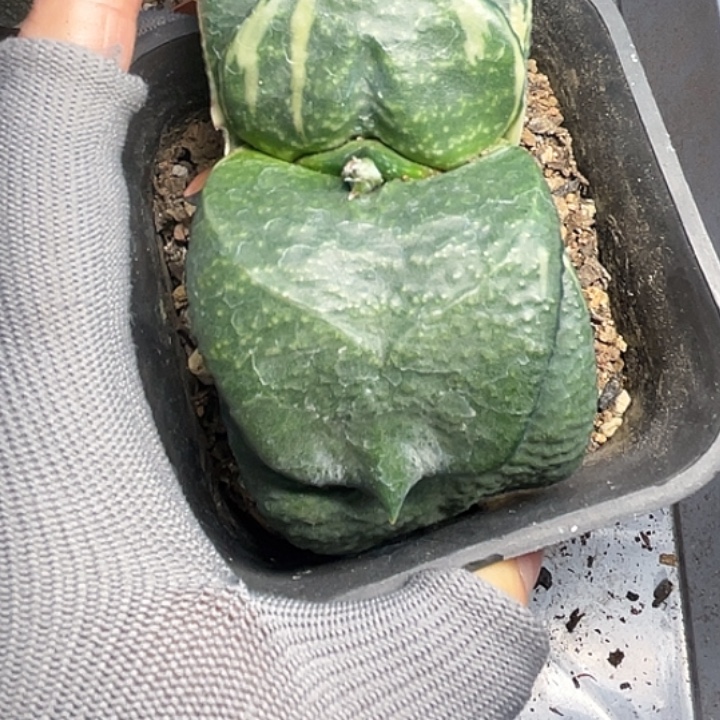 联***料客户专拍一物一拍