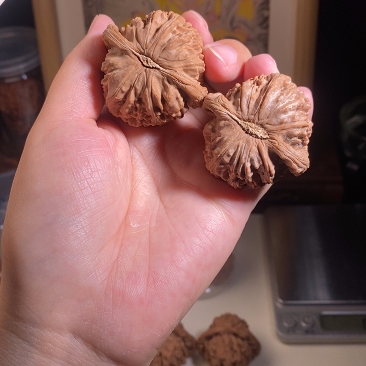 吊坠文玩核桃43白狮子全品