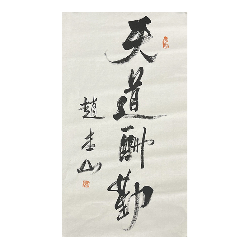 B-1516赵本山软片书法软片69*39cm