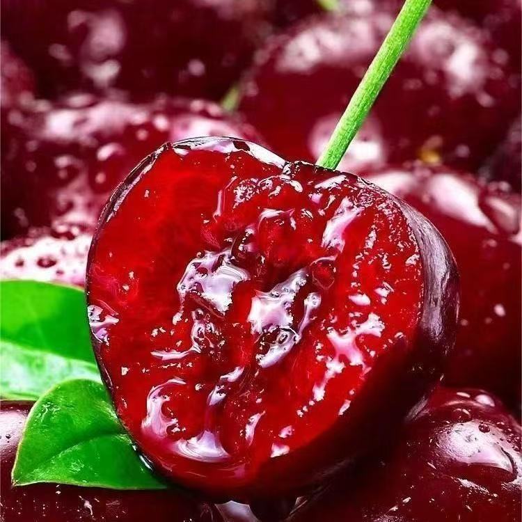 智利车厘子JJJJ（大果空运Kg）拆箱不退货5斤智利