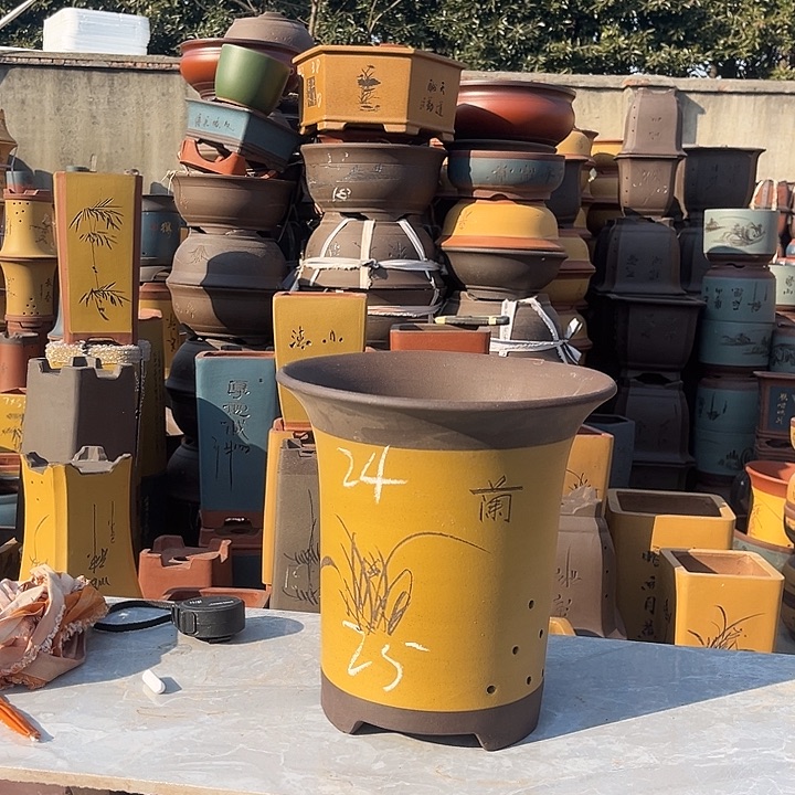 紫砂紫砂花盆盆栽