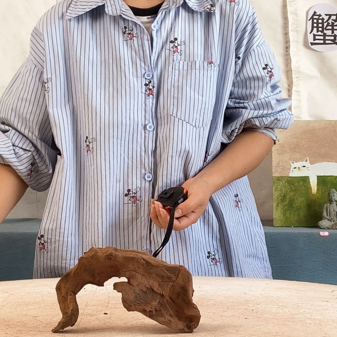 沉木造景寄居蟹造景