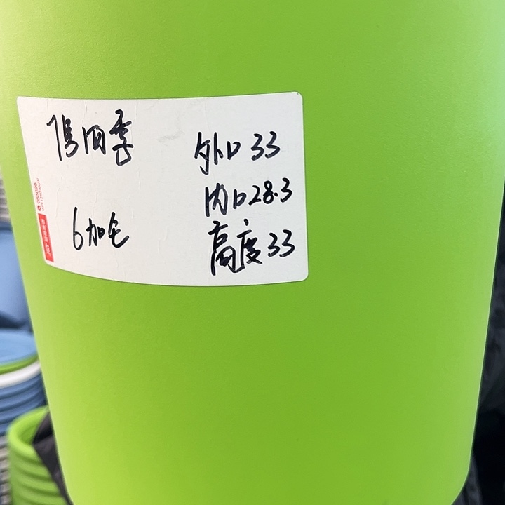 特价7号四季口33高33果绿无托4个