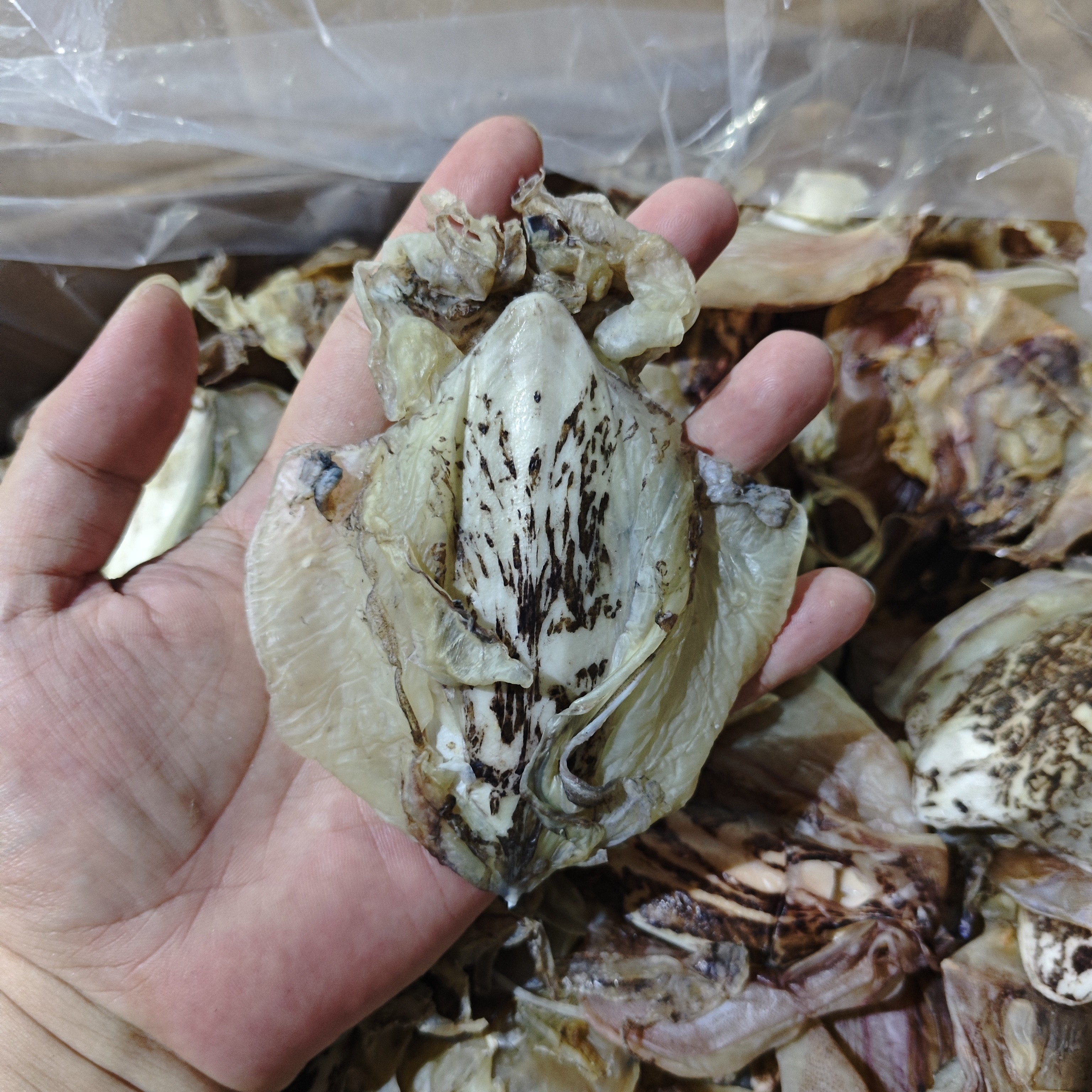 汕尾本港小小号墨鱼干 家用煲粥煲汤佳品