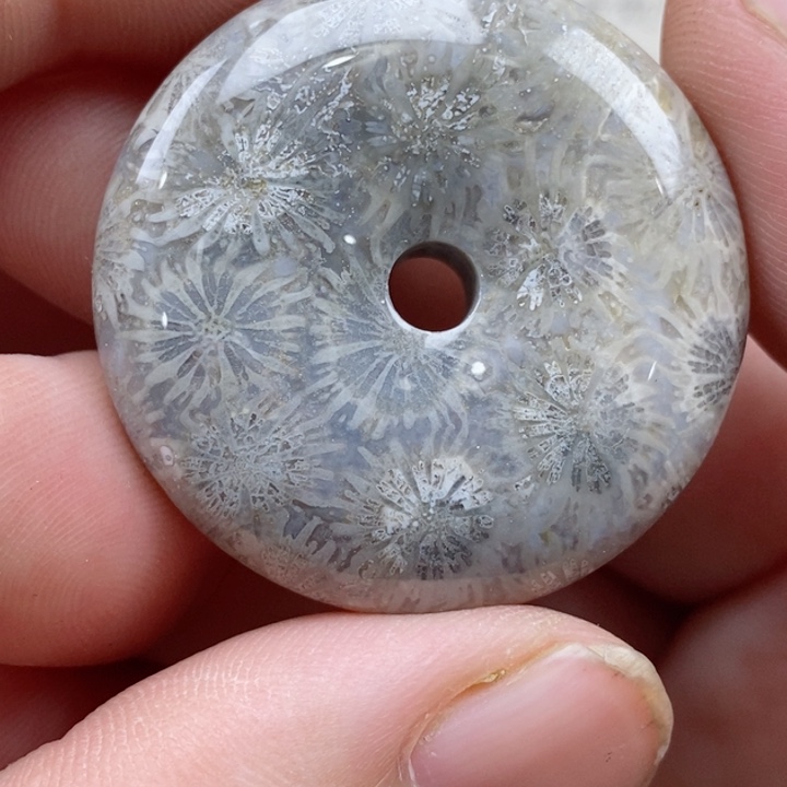 颈饰未镶嵌硅化珊瑚（珊瑚玉）