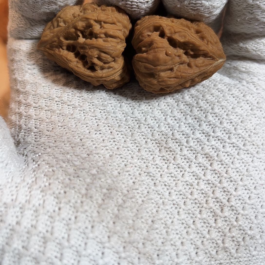 南****ಠ南疆石异形佛肚生命一对