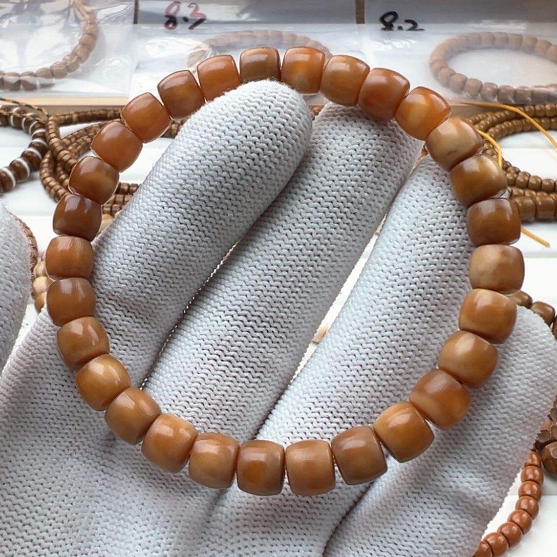 菩提根/象牙果手串8龙脊菩提根直切