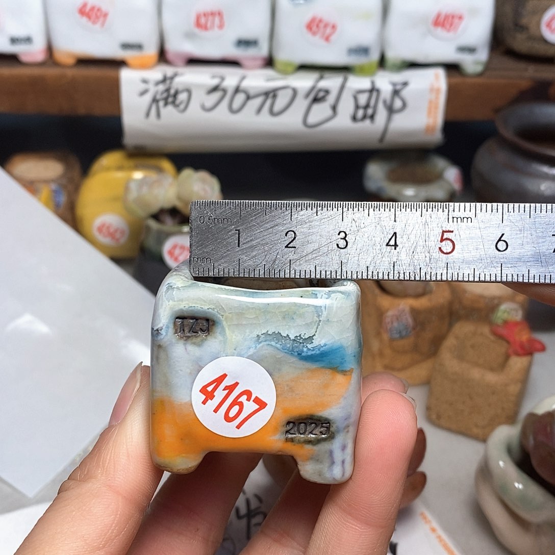 红陶拍5送一个小